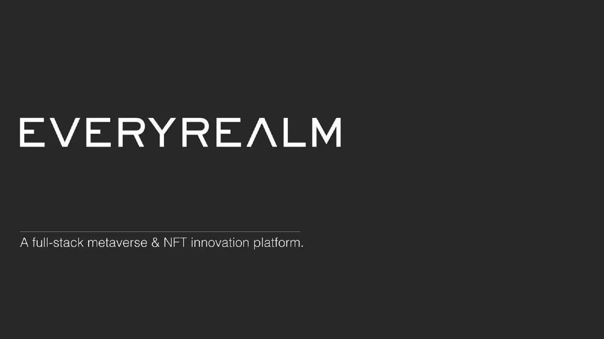 Everyrealm pitch deck slide 1 of 11