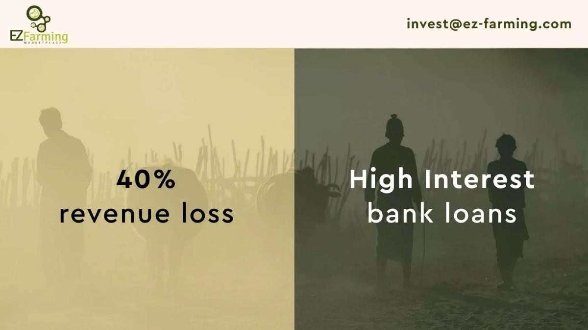 EZ Farming pitch deck slide 4 of 12