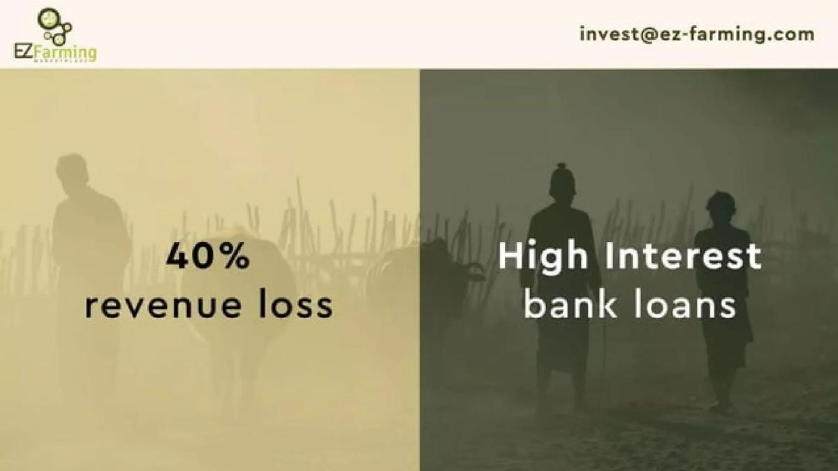 EZFarming pitch deck slide 4 of 12