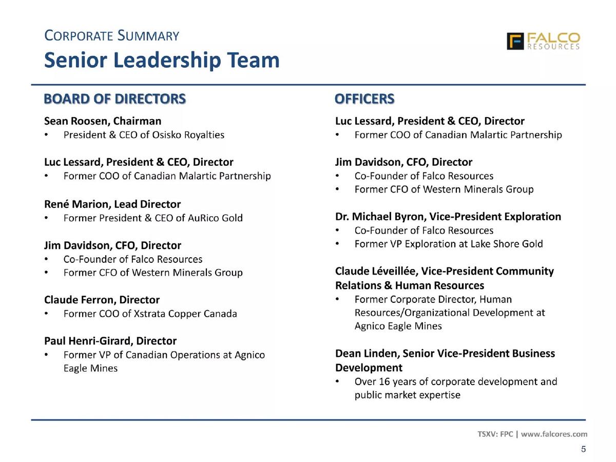 Falco Resources pitch deck slide 5 of 29