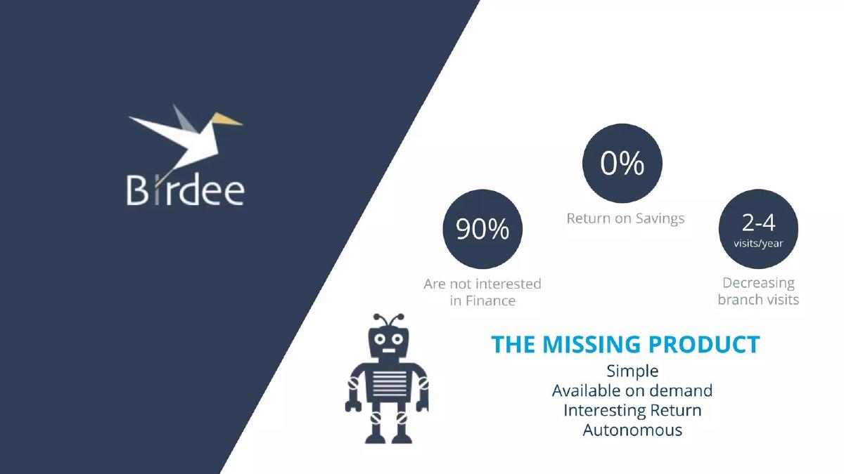 Birdee pitch deck slide 3 of 15