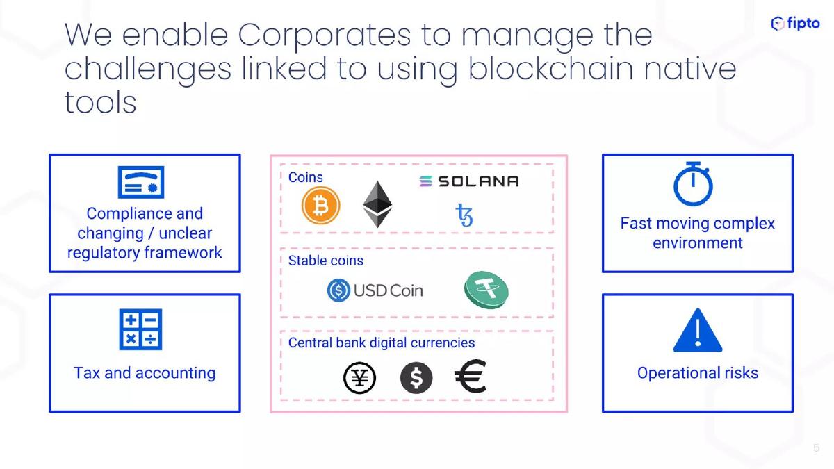 Fipto pitch deck slide 5 of 13
