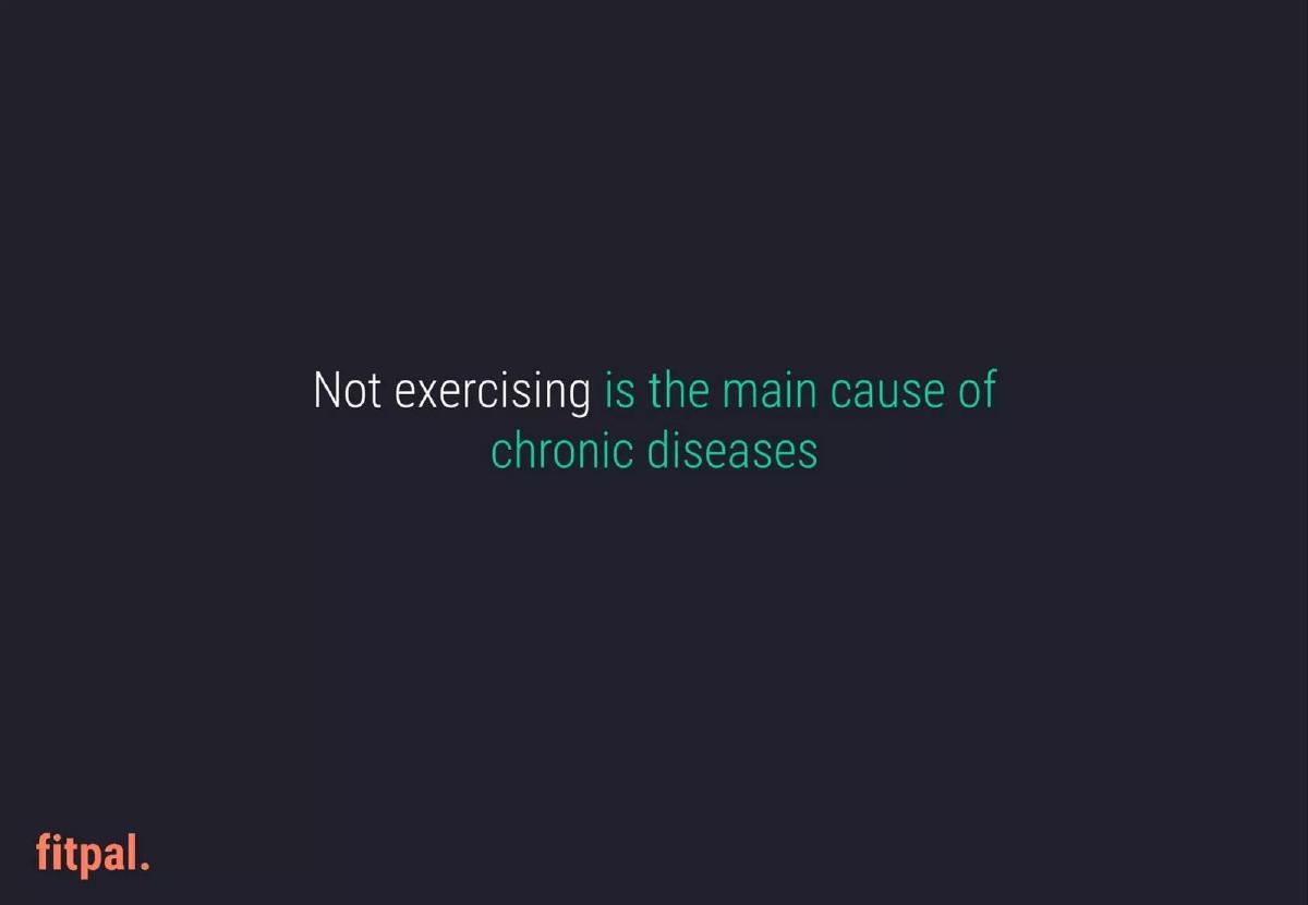 Fitpal pitch deck slide 3 of 14