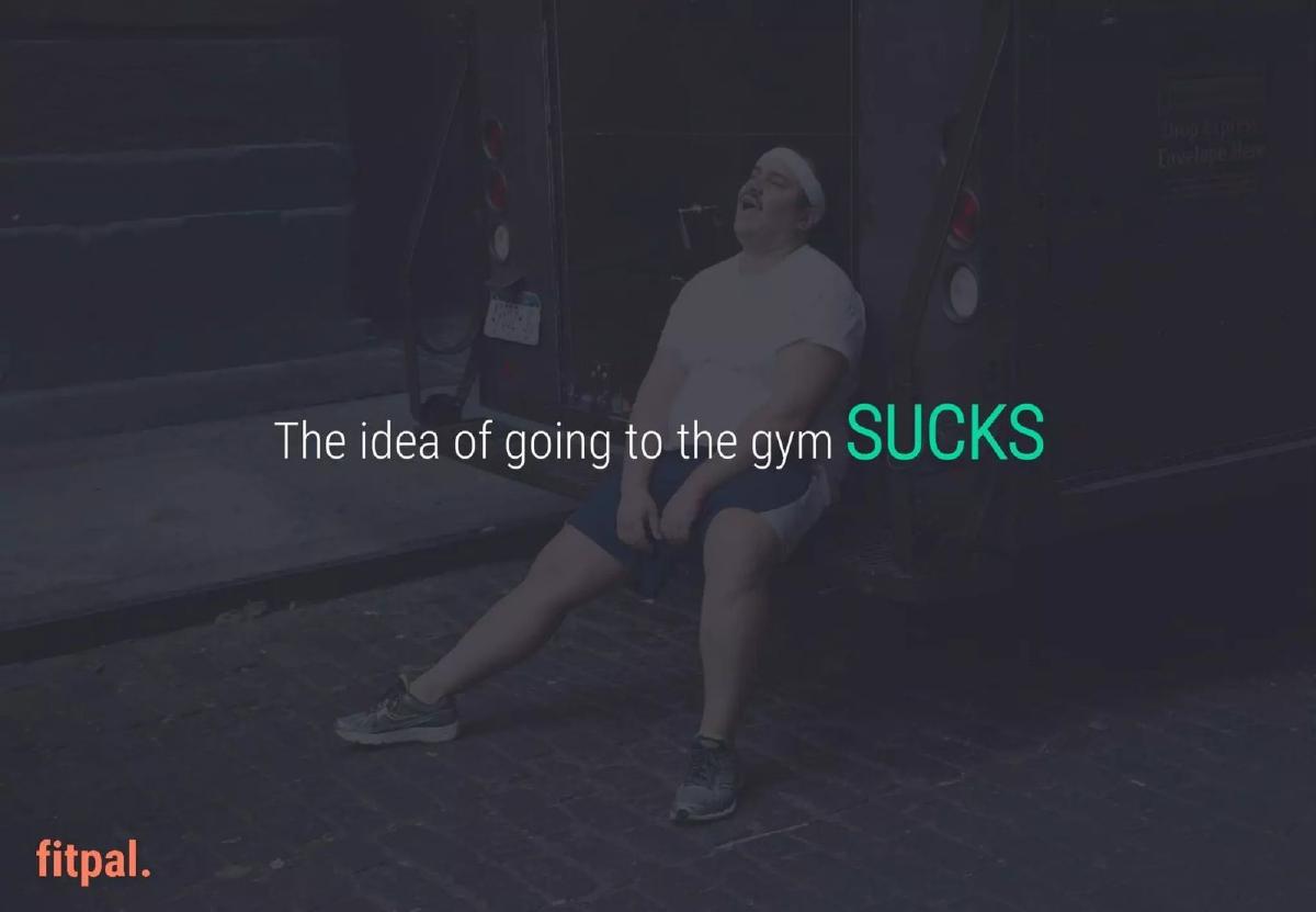 Fitpal pitch deck slide 5 of 14