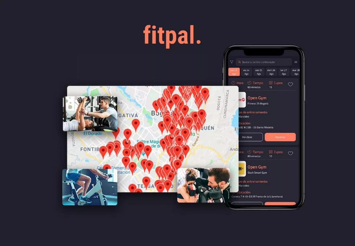 Fitpal pitch deck slide 6 of 14