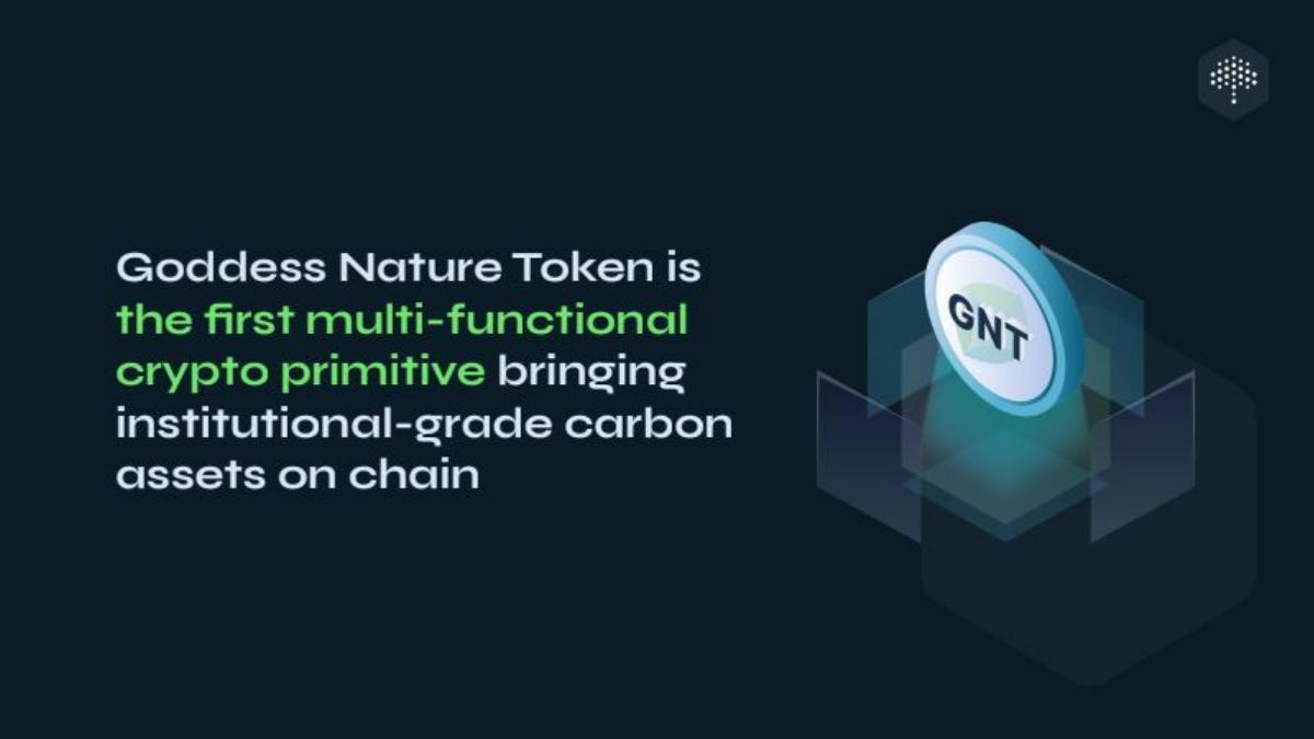 Flowcarbon pitch deck slide 2 of 20