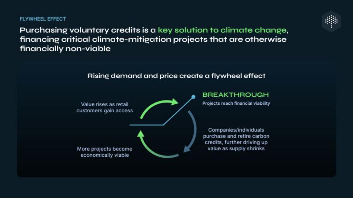 Flowcarbon pitch deck slide 4 of 20