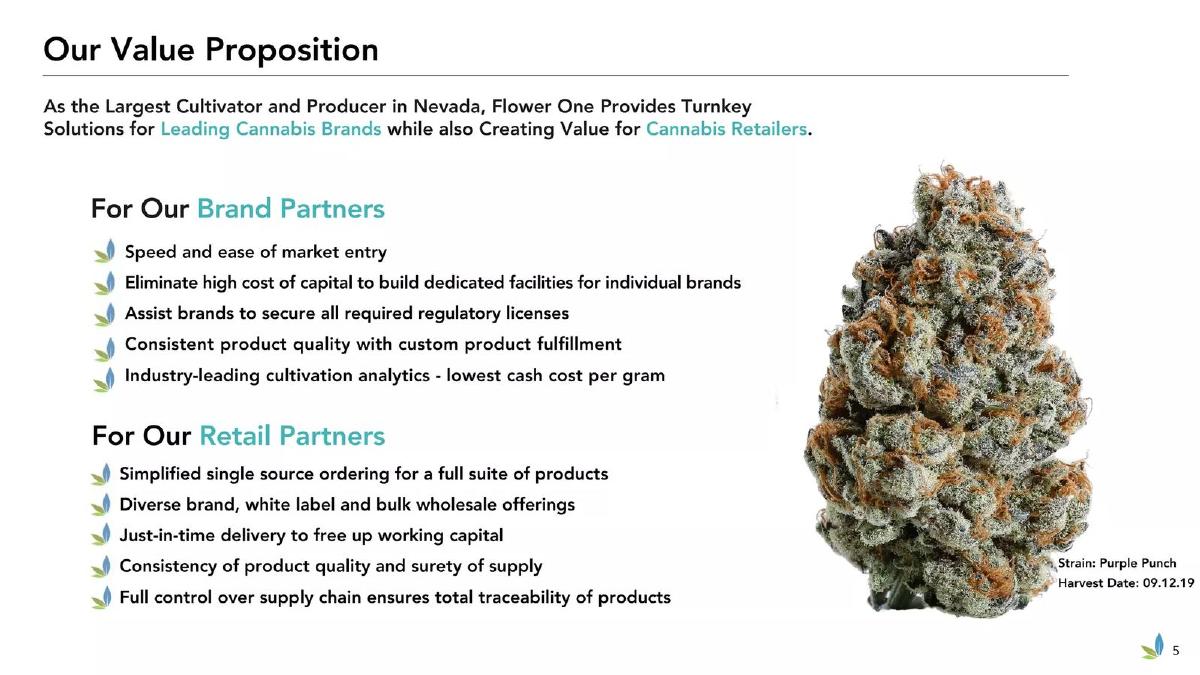 Flower One pitch deck slide 5 of 26