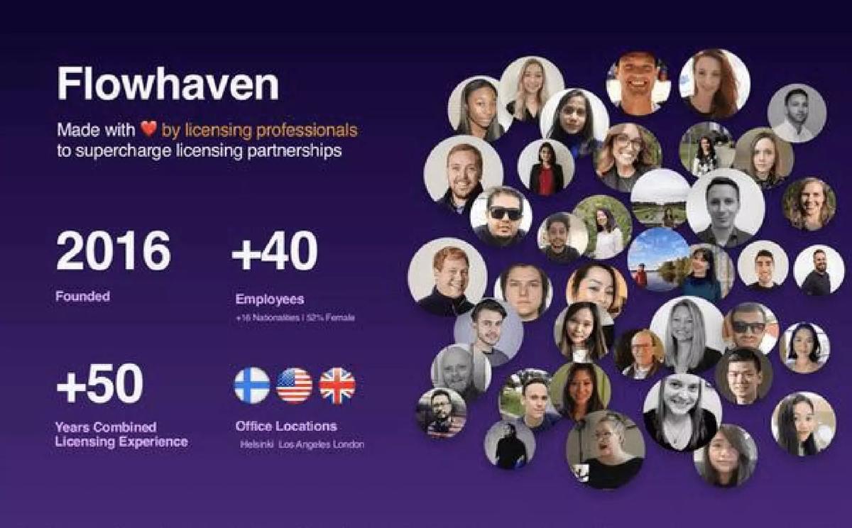 Flowhaven pitch deck slide 2 of 14