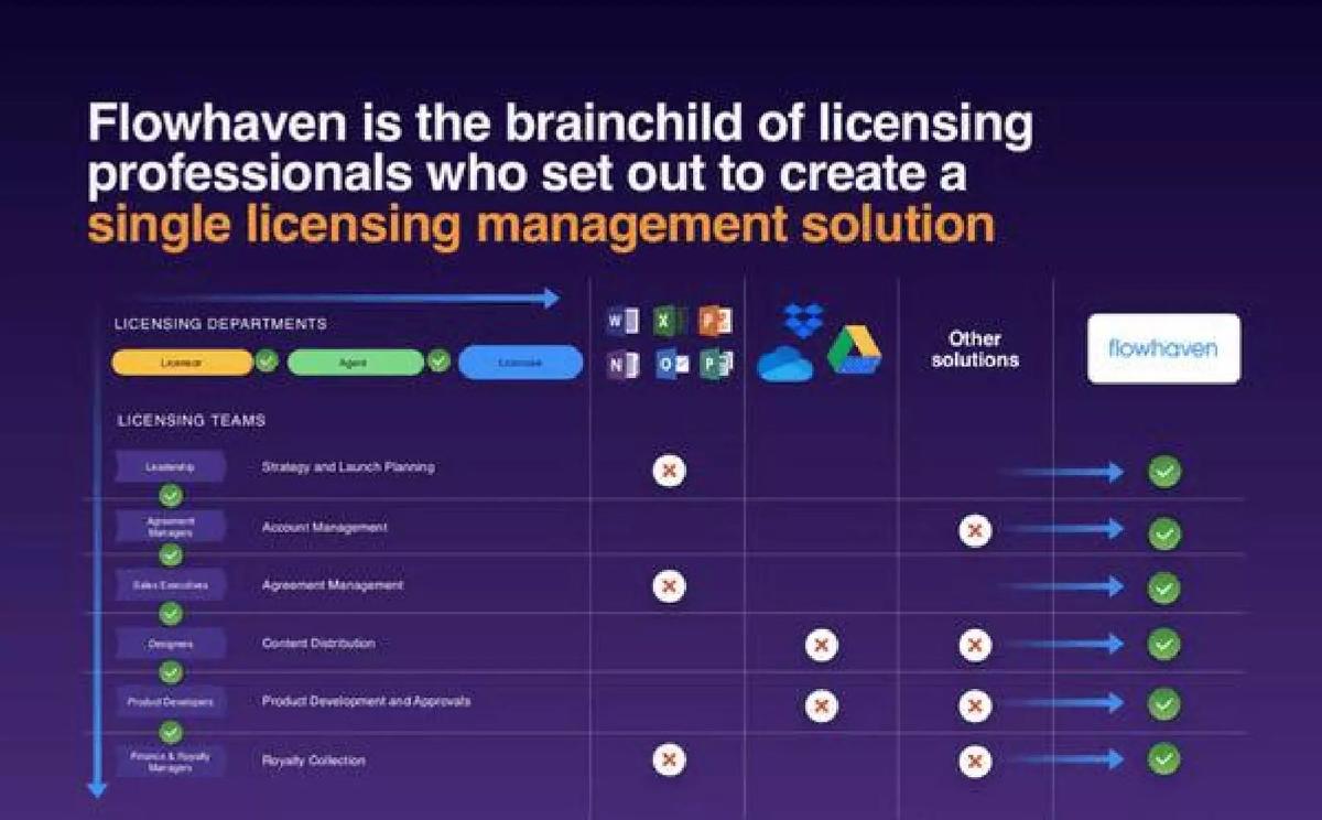 Flowhaven pitch deck slide 6 of 14