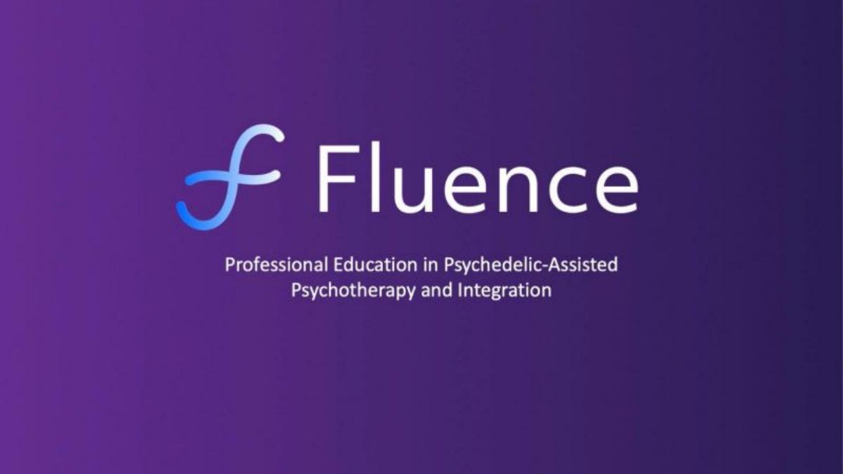 Fluence pitch deck slide 1 of 22
