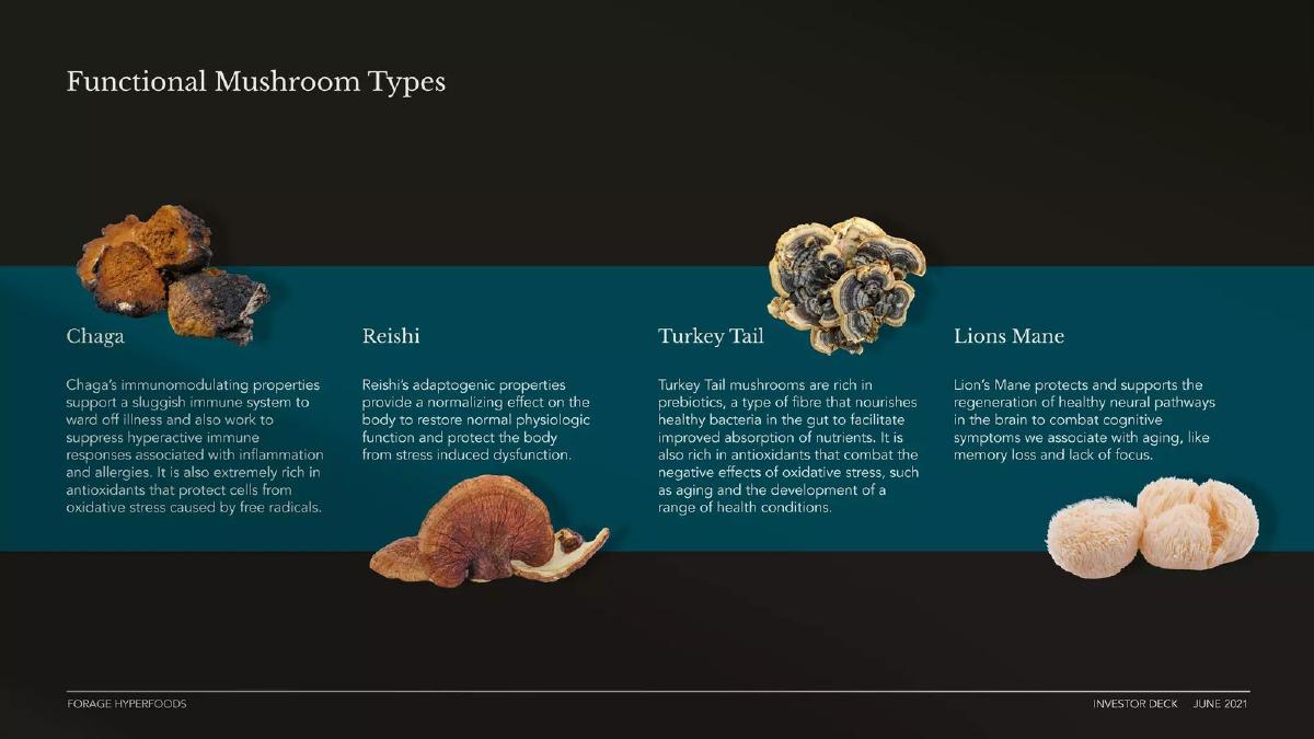 Forage Hyperfoods Inc pitch deck slide 4 of 18