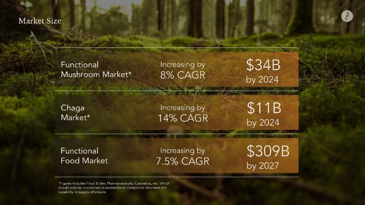 Forage Hyperfoods Inc pitch deck slide 6 of 18