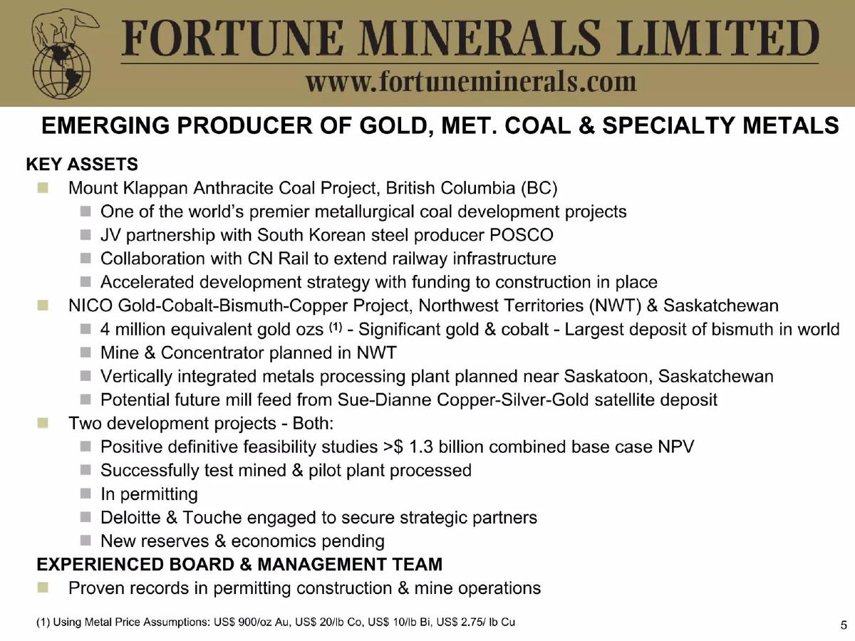Fortune Minerals pitch deck slide 5 of 44