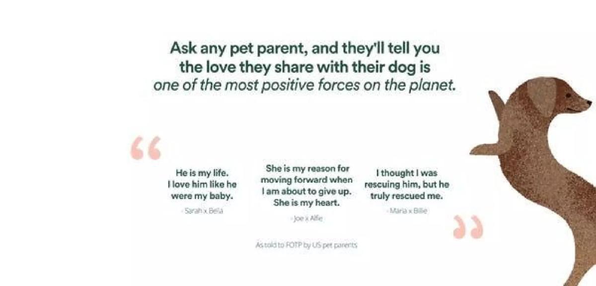 Front Of The Pack pitch deck slide 2 of 12