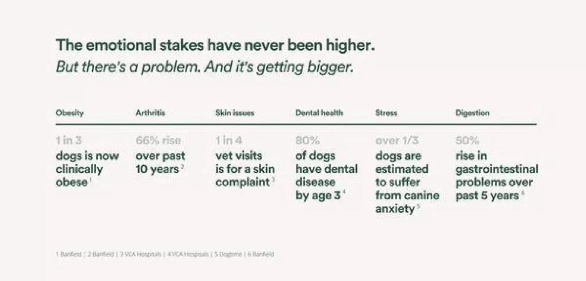 Front Of The Pack pitch deck slide 3 of 12