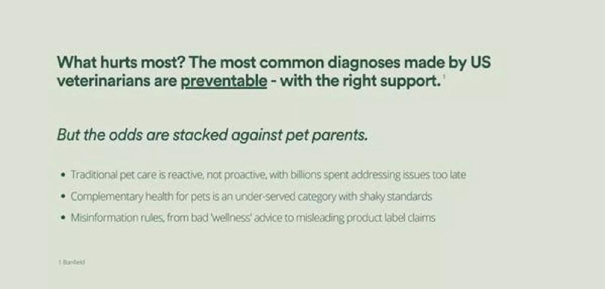 Front Of The Pack pitch deck slide 4 of 12