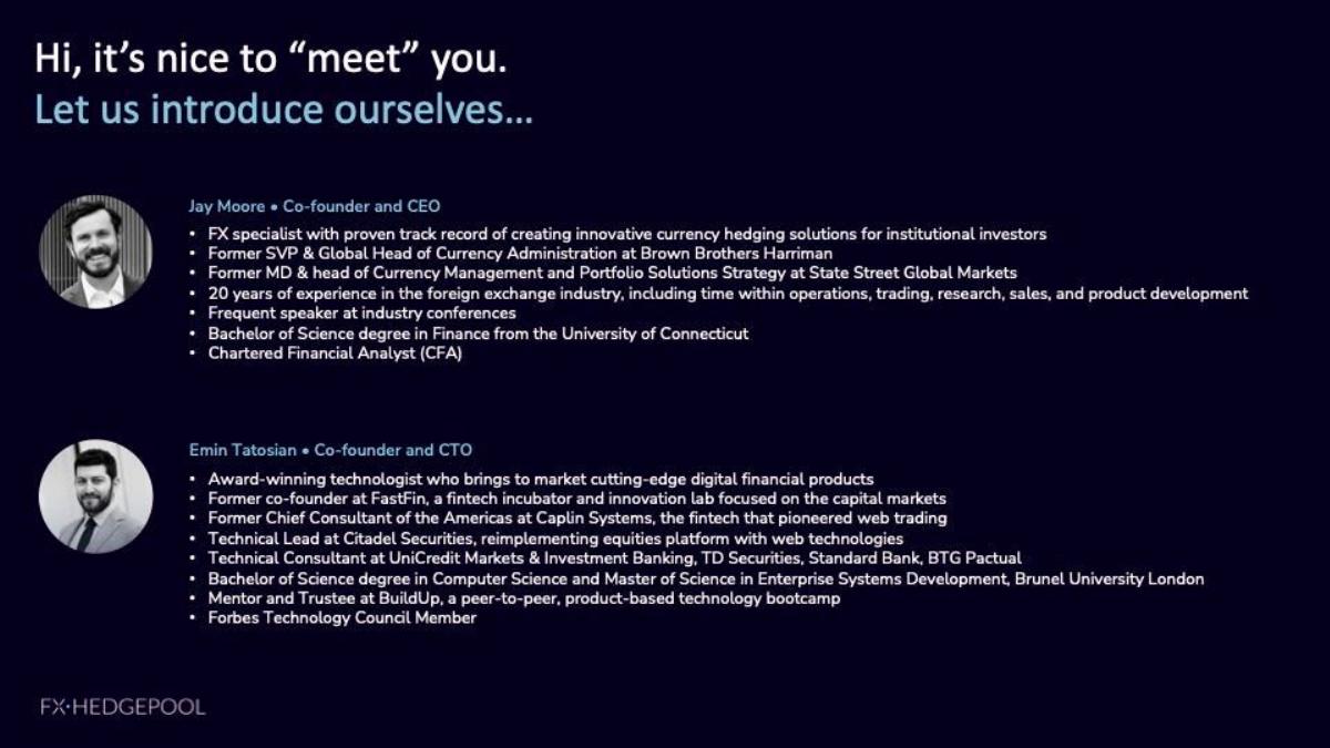 FX HedgePool pitch deck slide 2 of 11