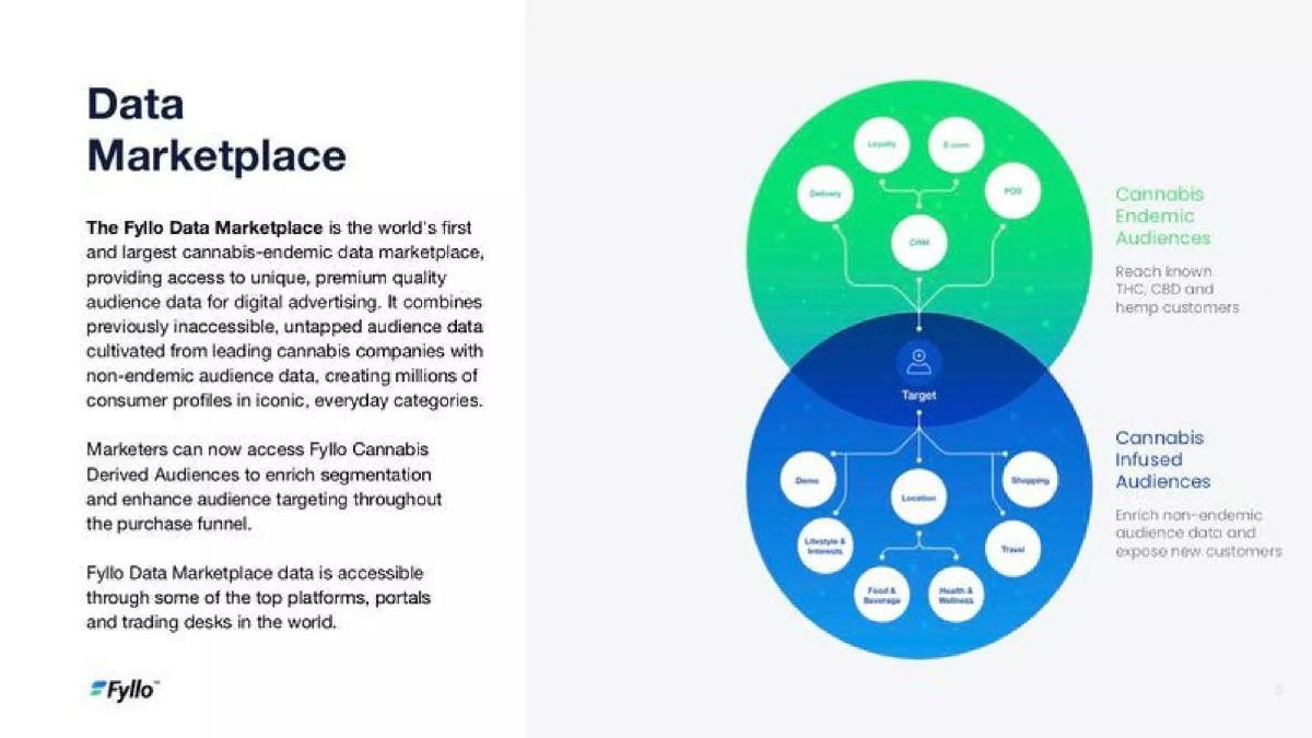 Fyllo pitch deck slide 5 of 14