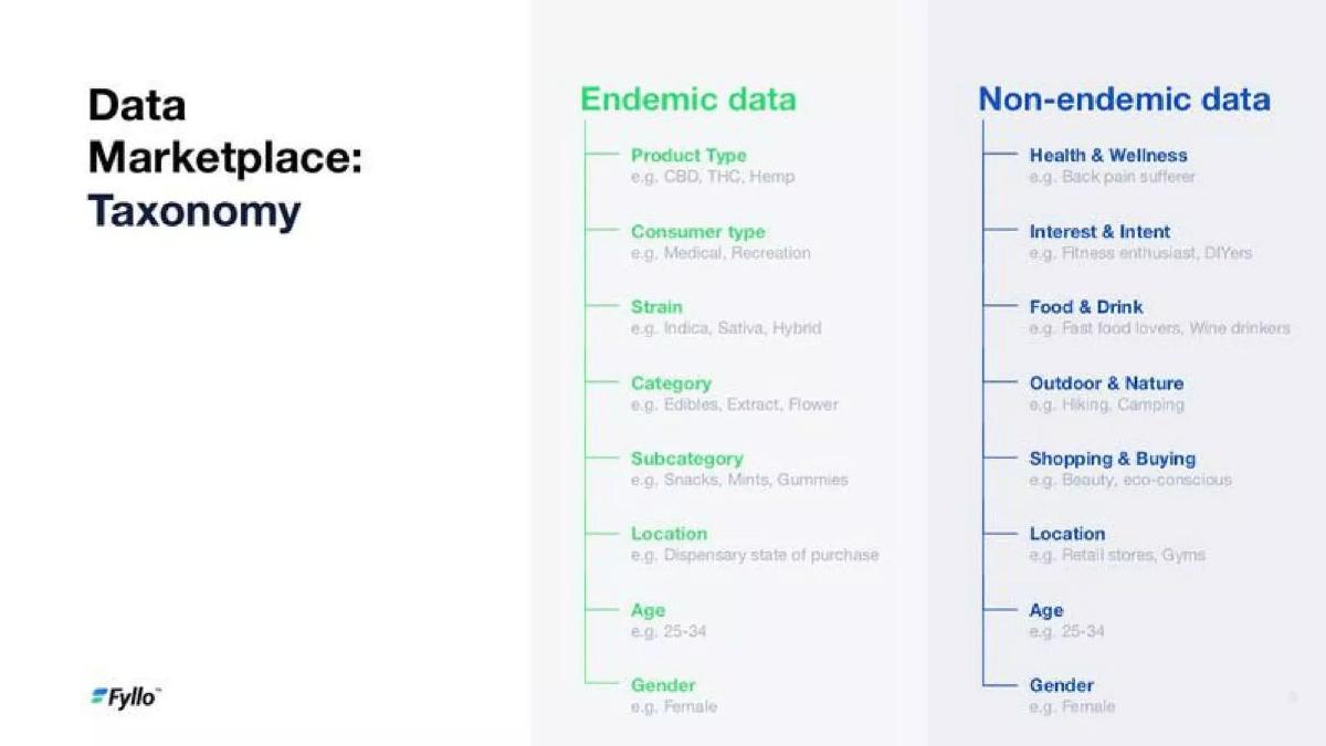 Fyllo pitch deck slide 6 of 14
