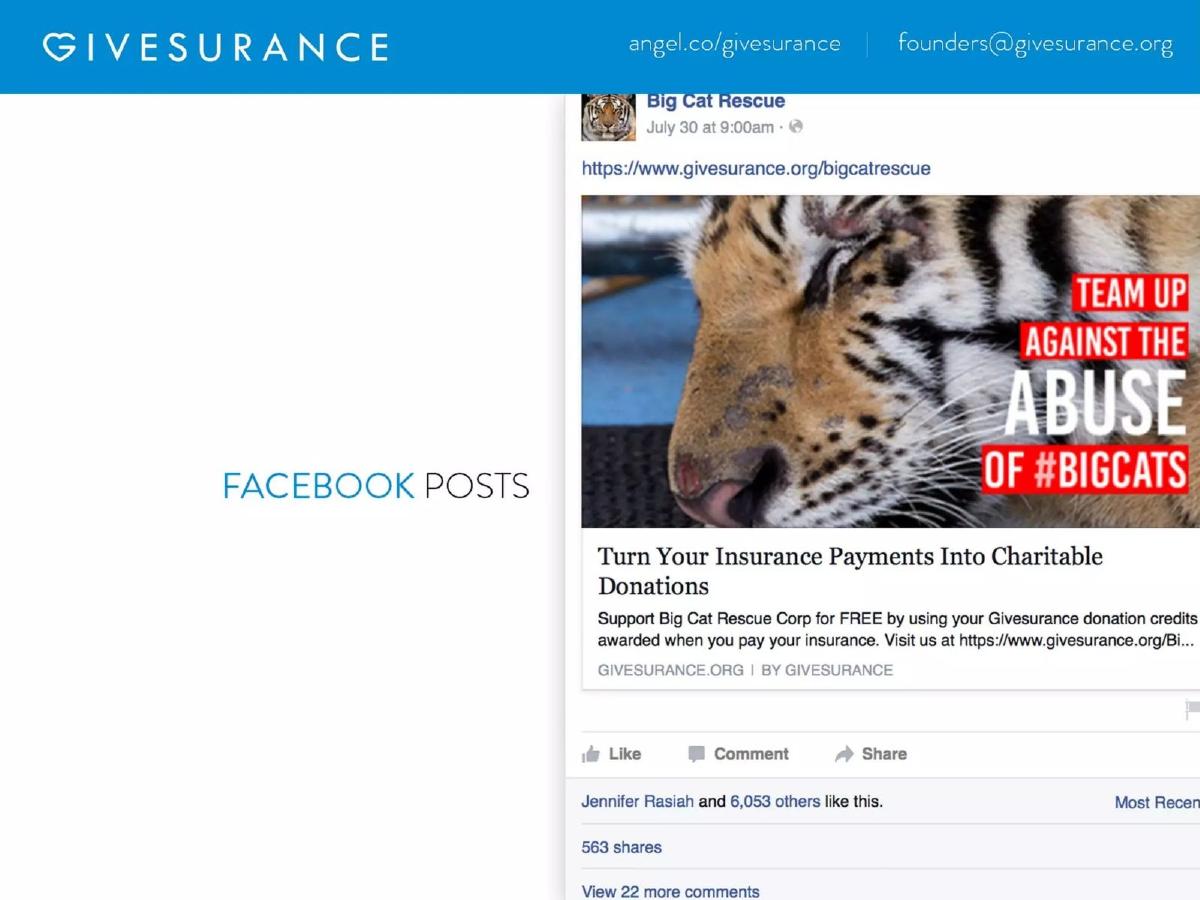 GiveSurance pitch deck slide 6 of 12