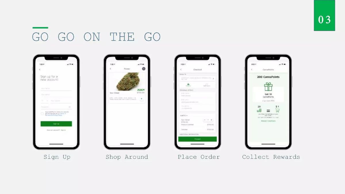 GO GO CANNABIZ pitch deck slide 4 of 14