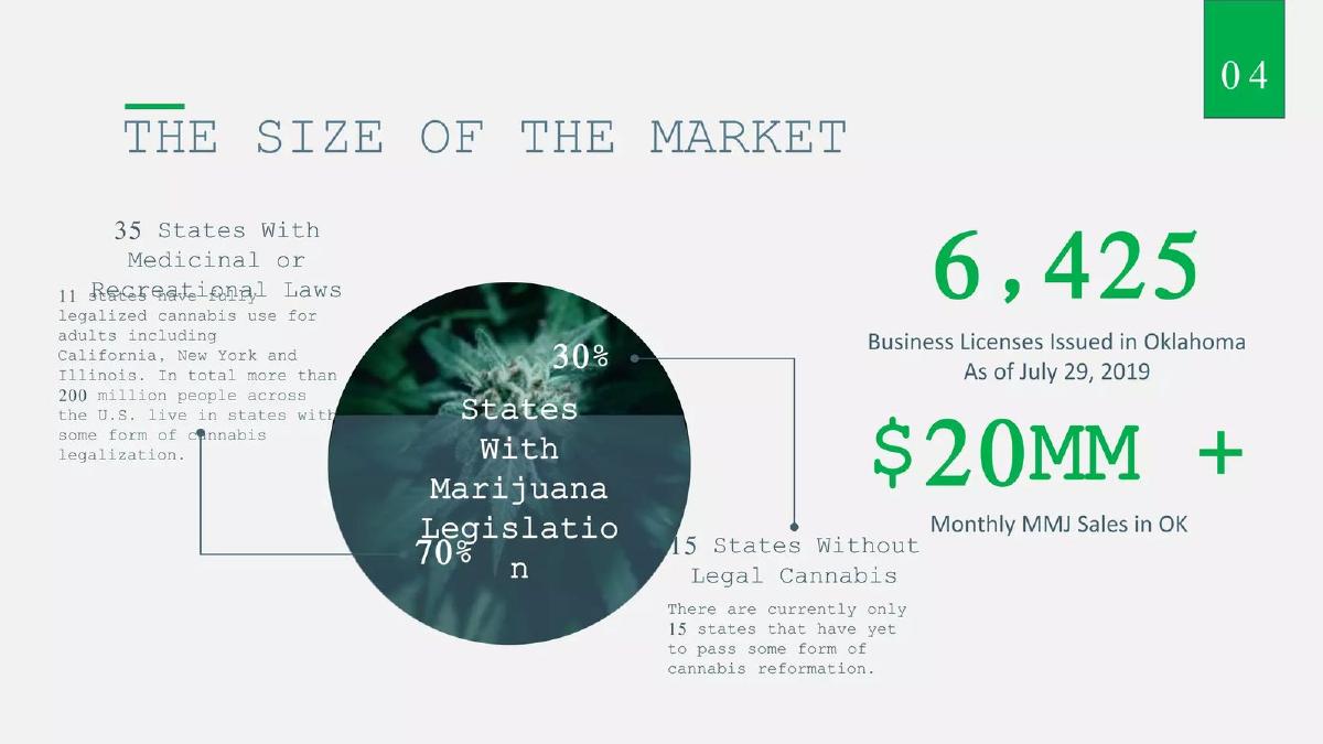 GO GO CANNABIZ pitch deck slide 5 of 14