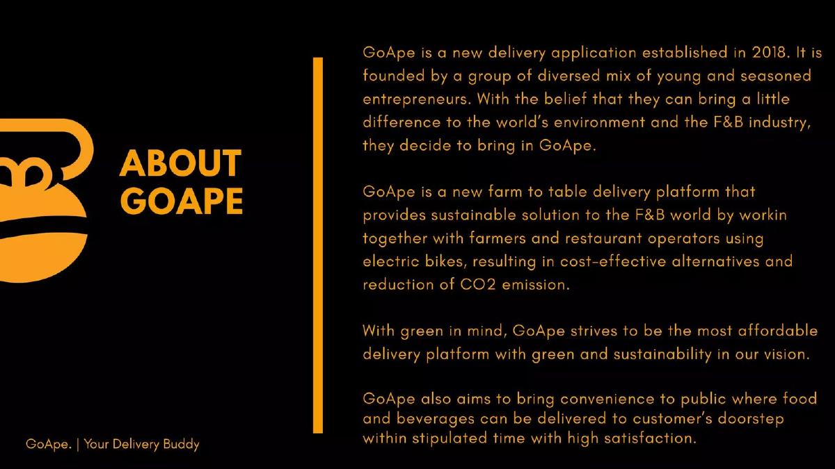 GoApe ECF pitch deck slide 4 of 29