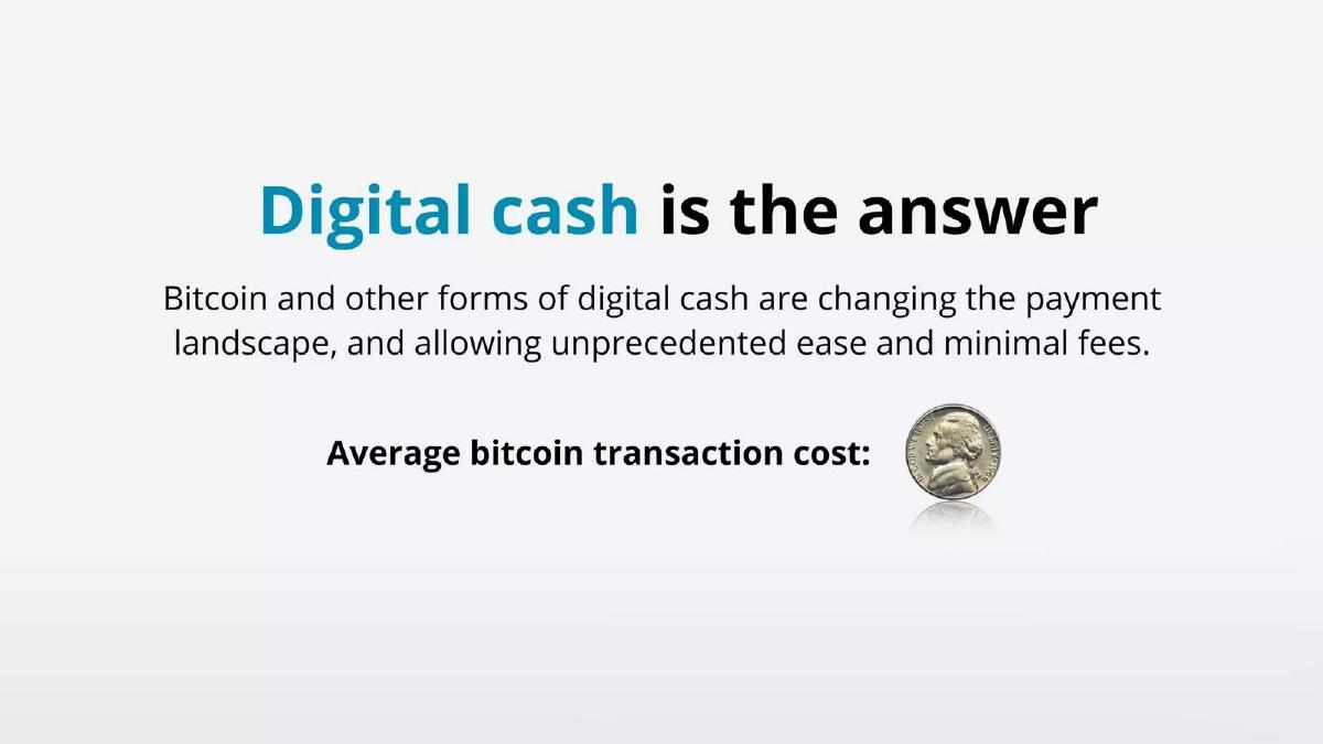 GogoCoin pitch deck slide 4 of 16