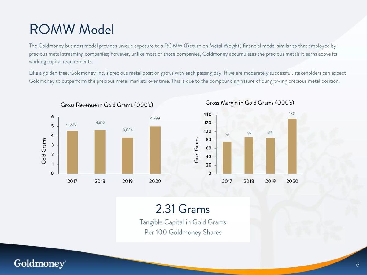 Goldmoney pitch deck slide 6 of 25