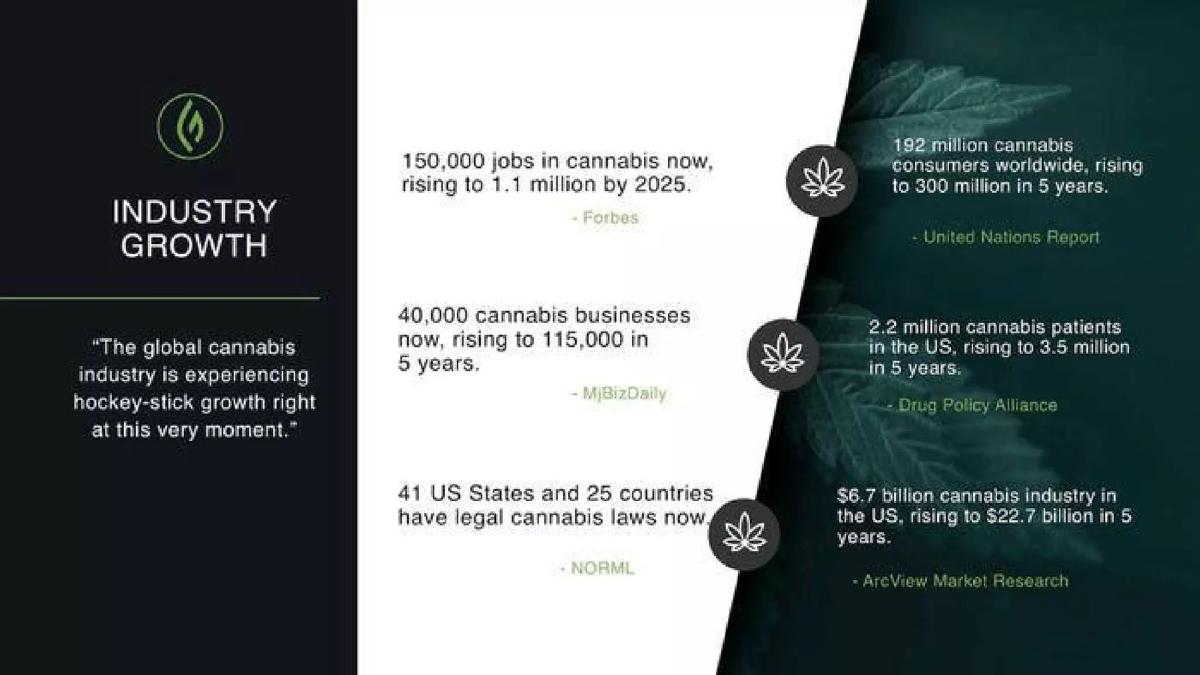 Green Flower Media pitch deck slide 3 of 18
