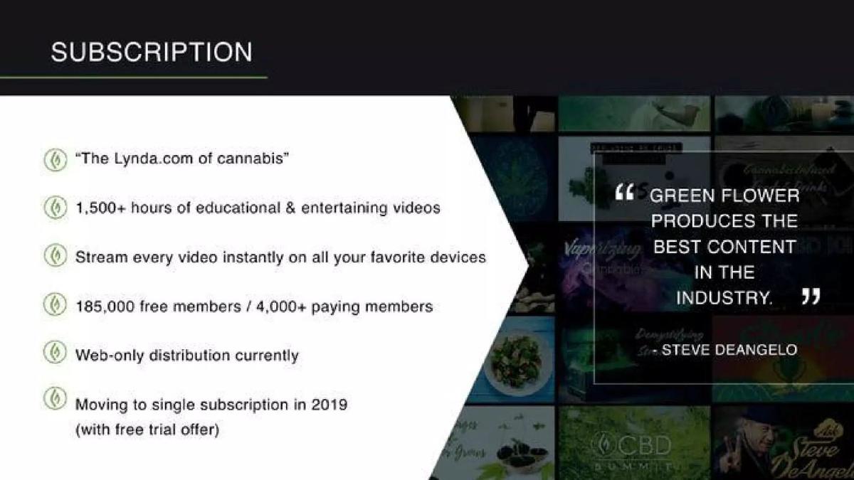 Green Flower Media pitch deck slide 5 of 18