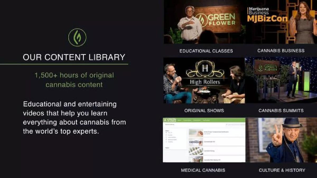 Green Flower Media pitch deck slide 6 of 18