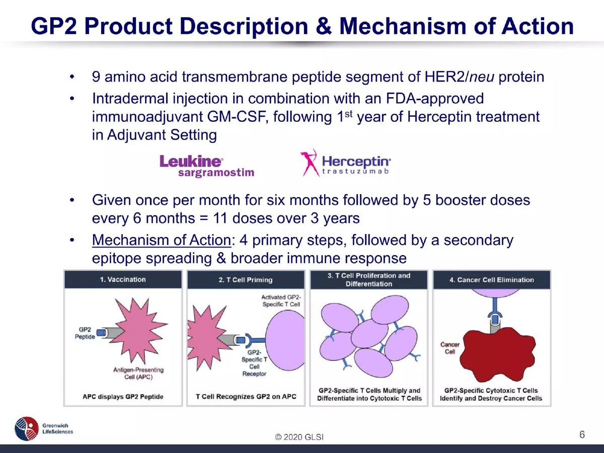 Greenwich LifeSciences (GLSI) pitch deck slide 6 of 15
