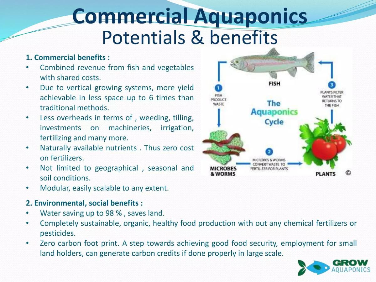 Grow Aquaponics pitch deck slide 1 of 10