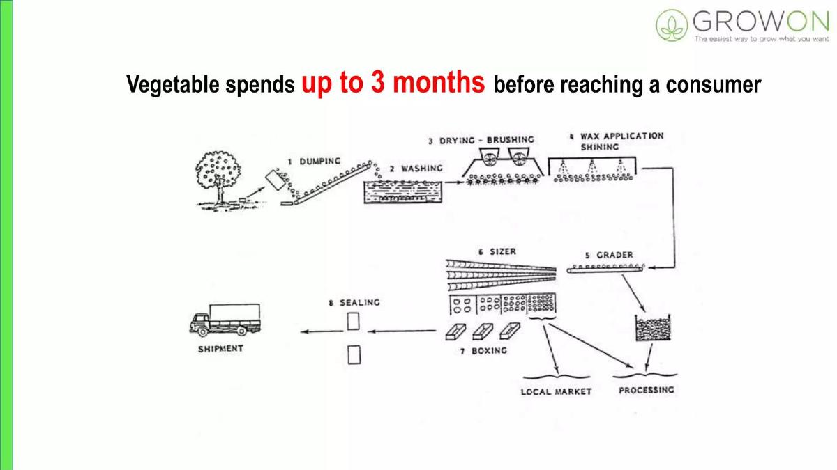 GrowOn pitch deck slide 2 of 11