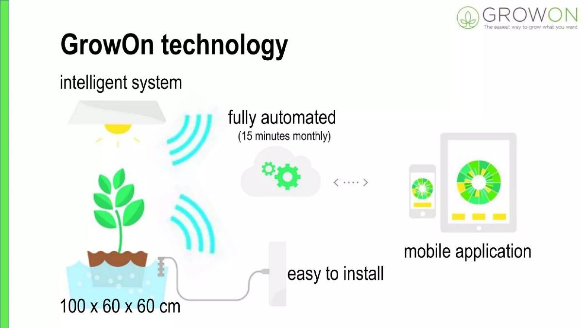 GrowOn pitch deck slide 3 of 11