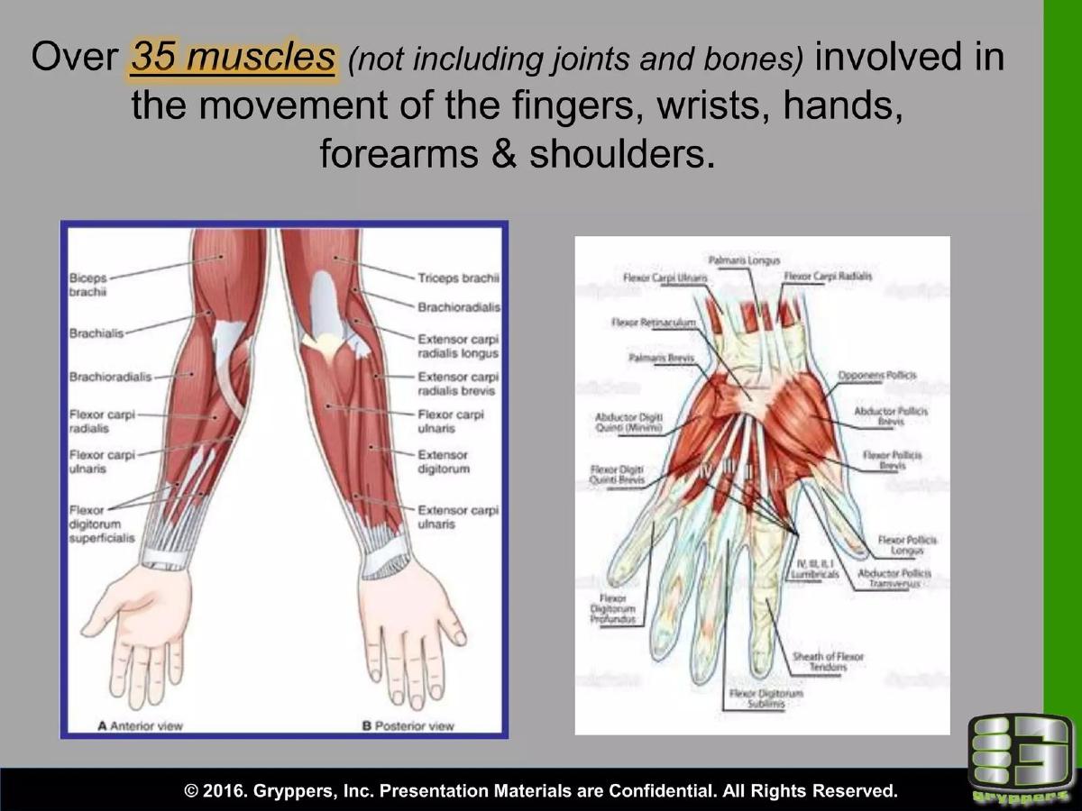 Gryppers, Inc. pitch deck slide 4 of 22