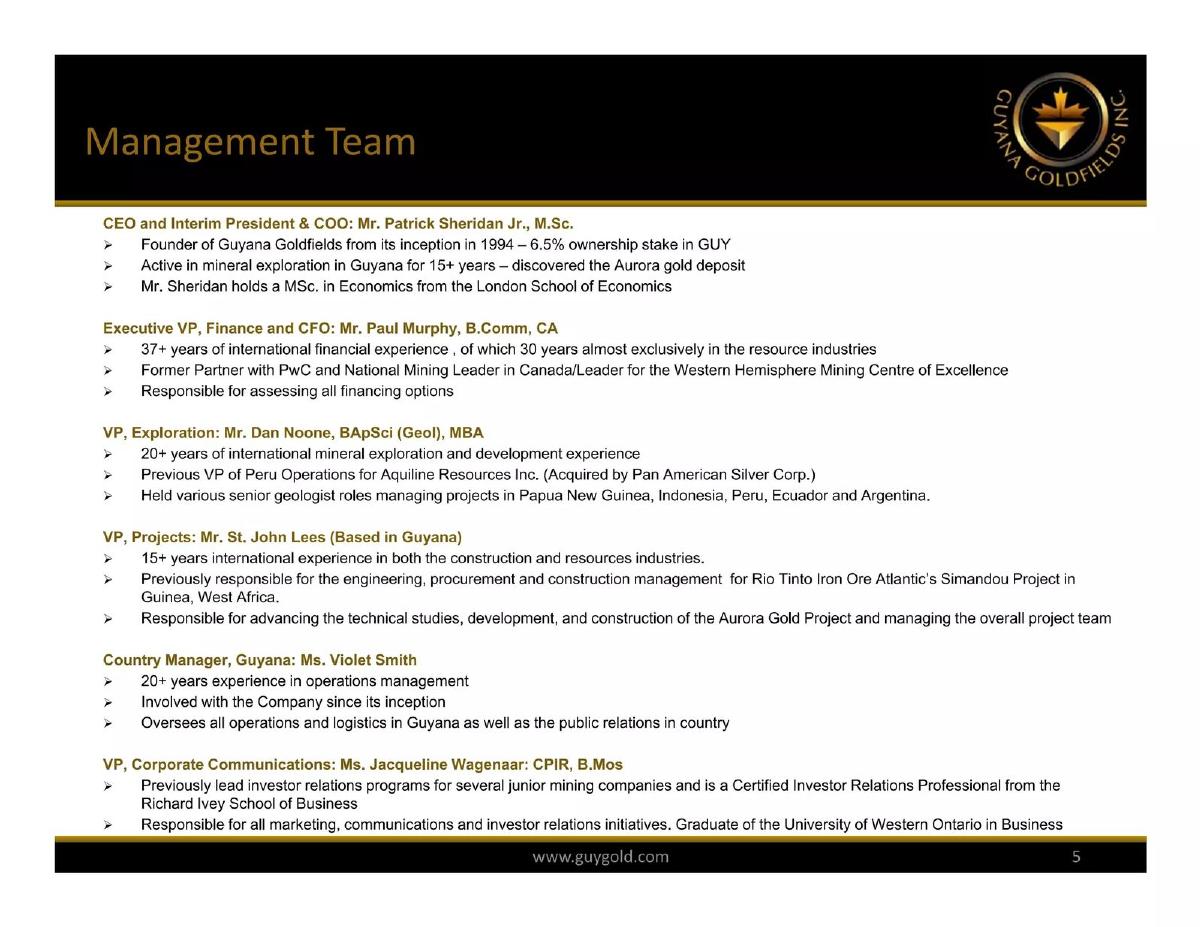 Guyana Goldfields pitch deck slide 5 of 32