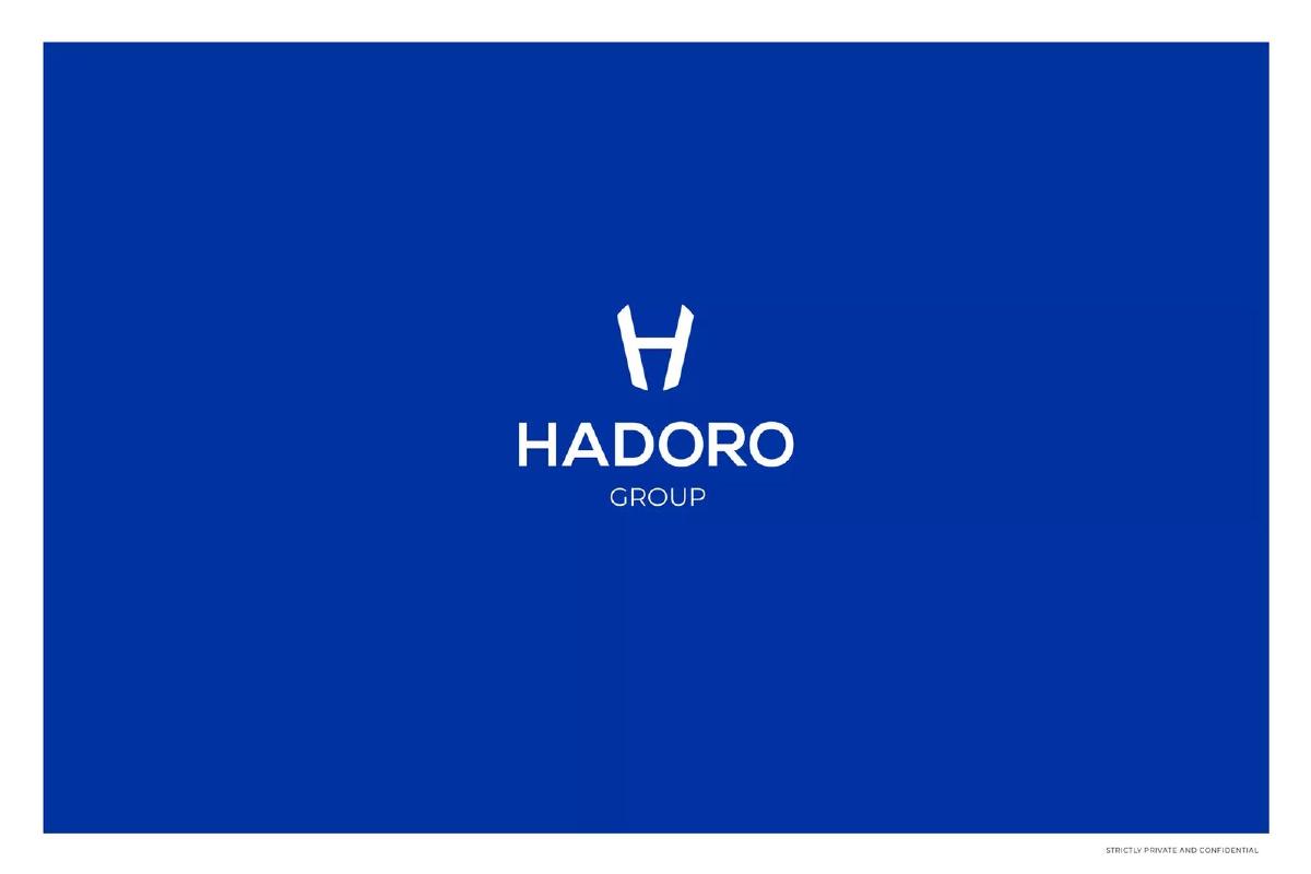 Hadoro Group pitch deck slide 1 of 22