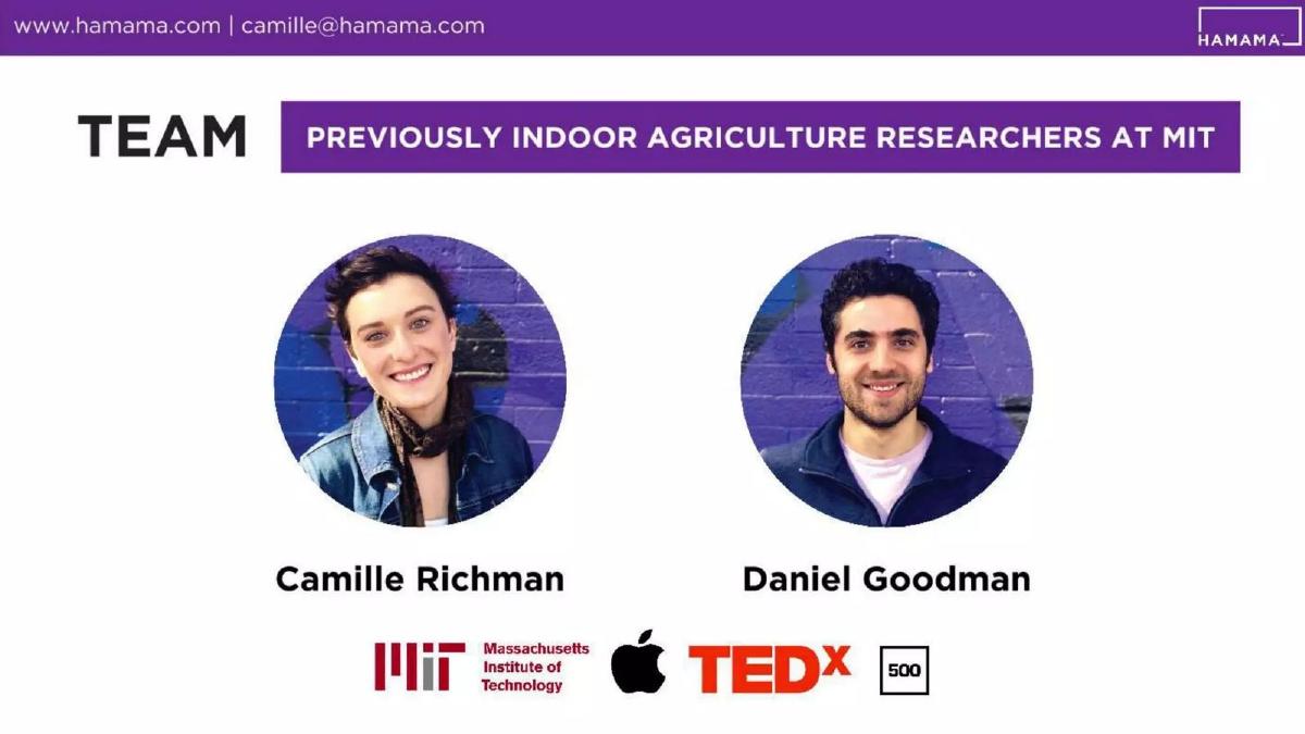 Hamama pitch deck slide 3 of 11