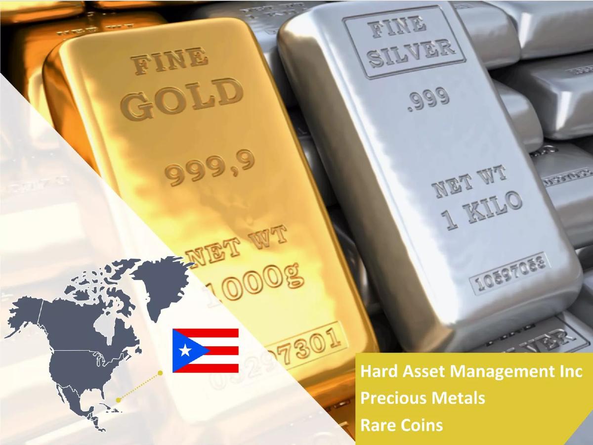 Hard Assets Management BMC pitch deck slide 2 of 18