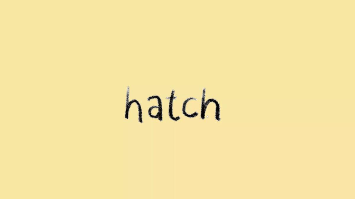 Hatch pitch deck slide 1 of 70