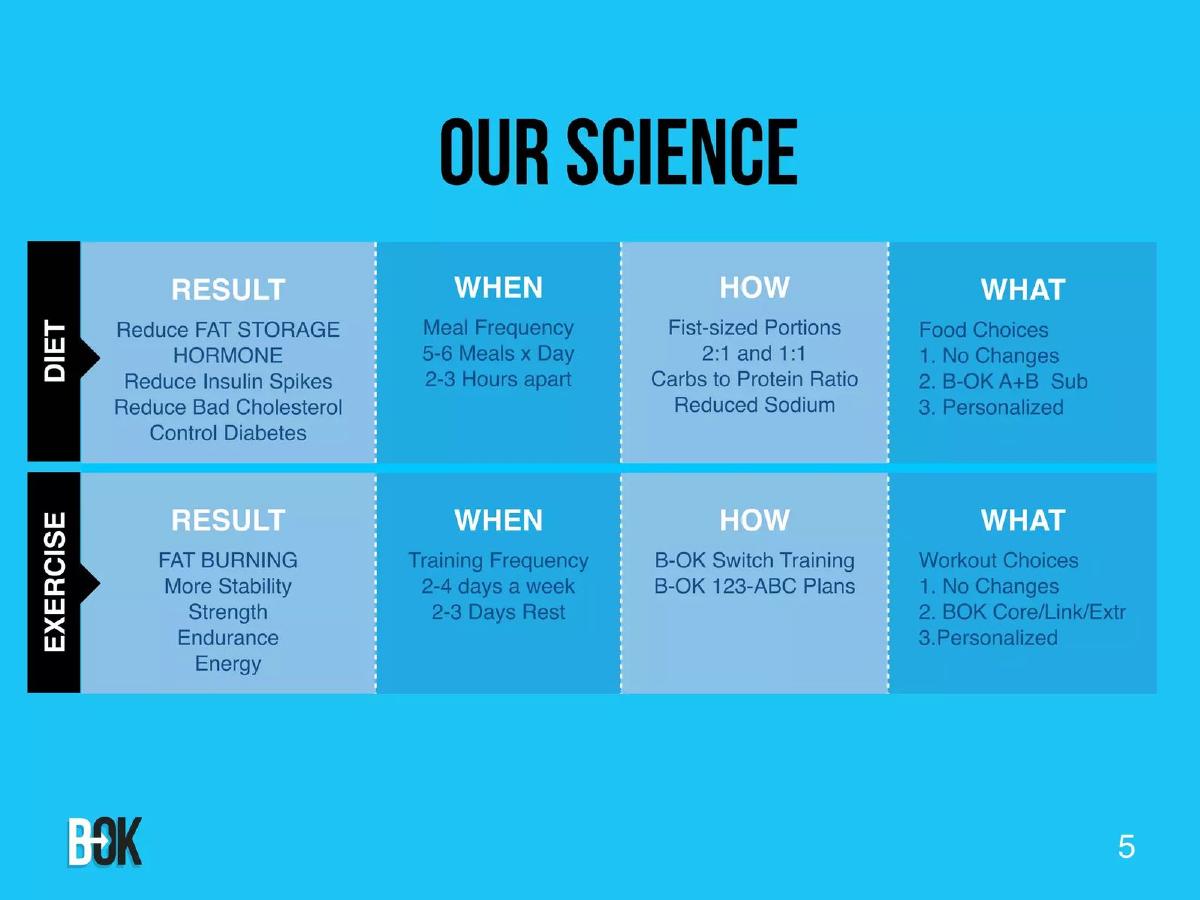 Body of Knowledge (B-OK) pitch deck slide 5 of 19
