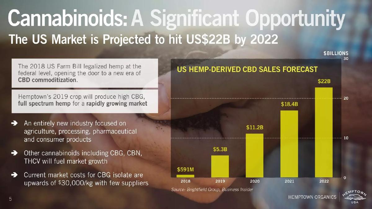 Hemptown Spring (Hemptown USA) pitch deck slide 5 of 23