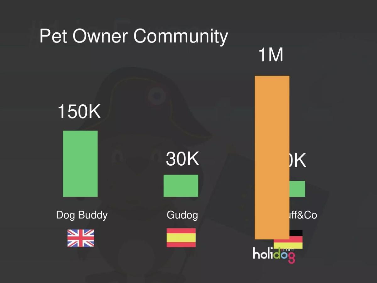 Holidog pitch deck slide 2 of 14
