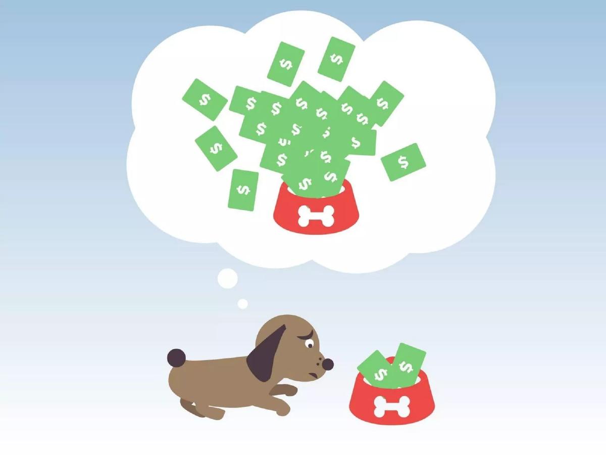 Holidog pitch deck slide 5 of 14