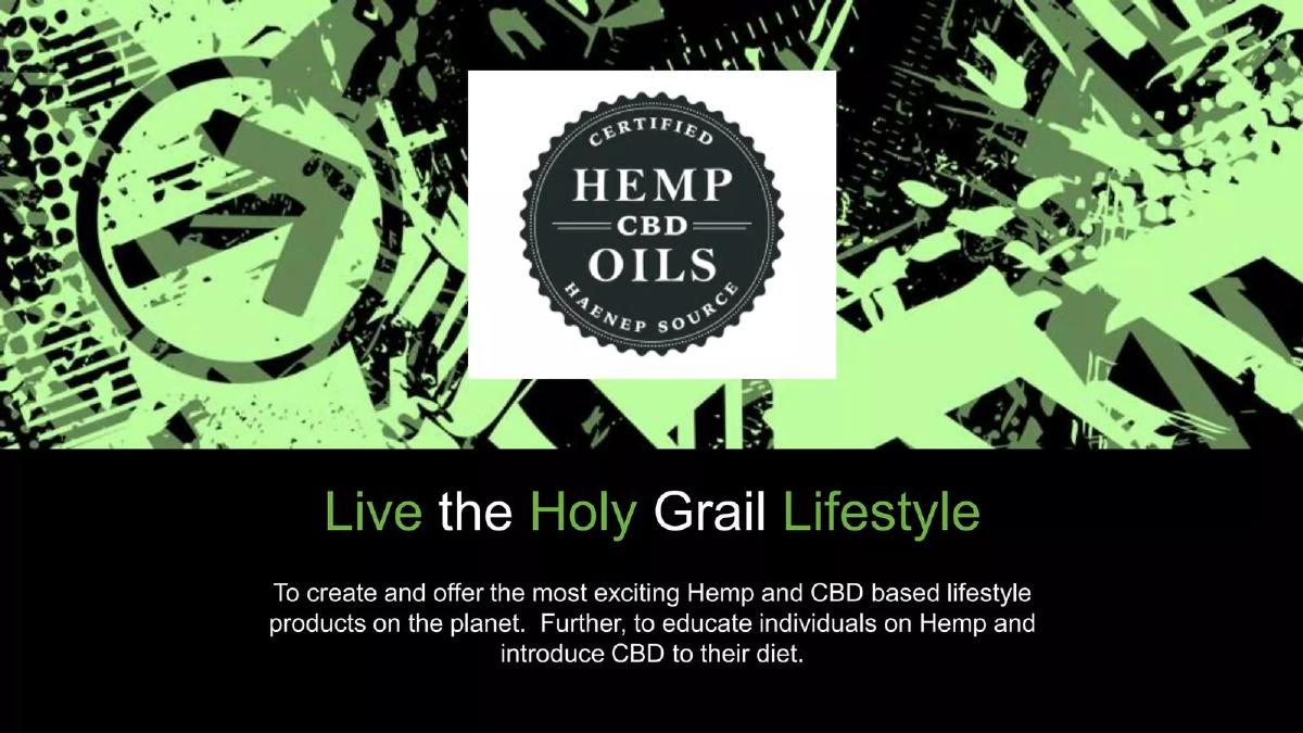 Holy Grail Plan pitch deck slide 2 of 19