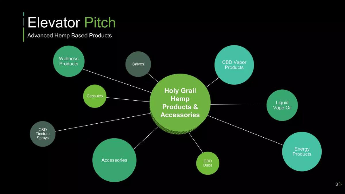 Holy Grail Plan pitch deck slide 3 of 19