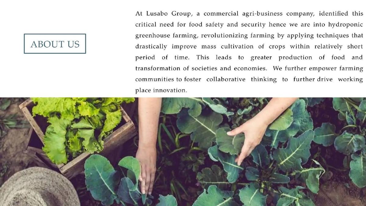 Lusabo Group (PTY) LTD pitch deck slide 2 of 14